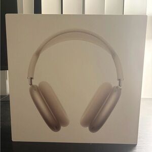 Apple Over-Ear Headphones - starlight